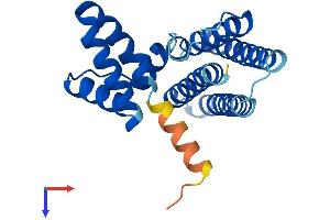 AlphaFold protein structure predicition of Mouse Recombinant Pdcd10 Protein, UniprotID Q8VE70