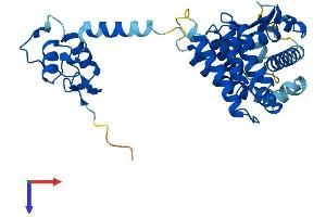 AlphaFold protein structure predicition of Human Recombinant NR1I3 Protein, UniprotID Q14994