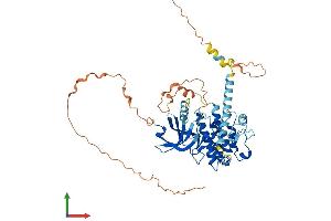 AlphaFold protein structure predicition of Human Recombinant MKNK2 Protein, UniprotID Q9HBH9