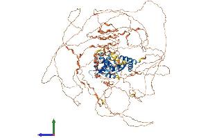 AlphaFold protein structure predicition of Human Recombinant MAGEL2 Protein, UniprotID Q9UJ55