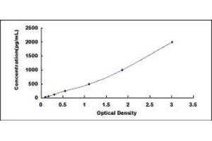 Typical standard curve (14-3-3 sigma/SFN Kit ELISA)