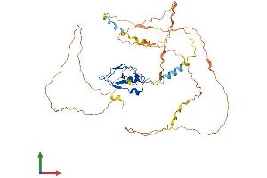 AlphaFold protein structure predicition of Human Recombinant RNF44 Protein, UniprotID Q7L0R7