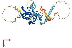 AlphaFold protein structure predicition of Mouse Recombinant Pnpla2 Protein, UniprotID Q8BJ56