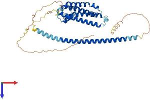 AlphaFold protein structure predicition of Mouse Recombinant Fbxo28 Protein, UniprotID Q8BIG4