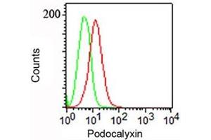 FACS surface staining of NCCIT cells with Podocalyxin antibody (PODXL anticorps  (Extracellular Domain))