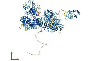AlphaFold protein structure predicition of Mouse Recombinant Nlrp1b Protein, UniprotID Q2LKV5