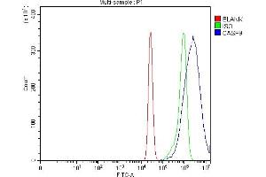 Flow Cytometry analysis of K562 cells using anti-Caspase-9/CASP9 antibody (ABIN7601974). (Caspase 9 anticorps  (AA 53-268))