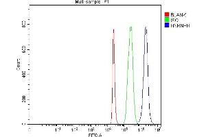 Flow Cytometry analysis of 293T cells using anti-HnRNP H/HNRNPH1 antibody (ABIN4886623). (HNRNPH1 anticorps  (N-Term))