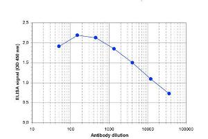 ELISA of anti-Wdr5 antibody ELISA results of Rabbit anti-Wdr5 antibody.