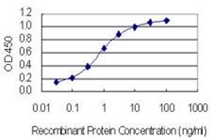 Detection limit for recombinant GST tagged CACNB4 is 0.