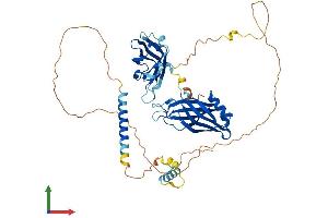 AlphaFold protein structure predicition of Human Recombinant SYT6 Protein, UniprotID Q5T7P8