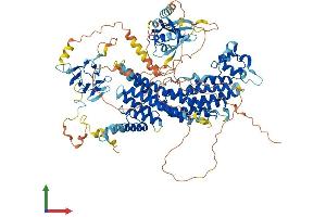 AlphaFold protein structure predicition of Mouse Recombinant Rasip1 Protein, UniprotID Q3U0S6