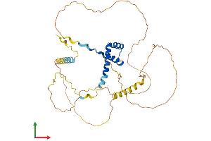 AlphaFold protein structure predicition of Human Recombinant NKX2-3 Protein, UniprotID Q8TAU0