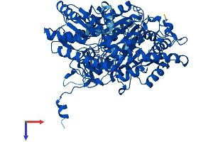 AlphaFold protein structure predicition of Mouse Recombinant Uroc1 Protein, UniprotID Q8VC12