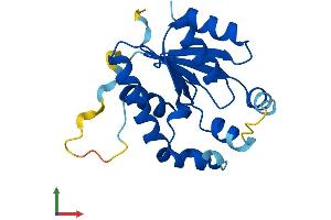 AlphaFold protein structure predicition of Mouse Recombinant Idnk Protein, UniprotID Q8R0J8