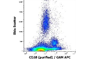 Flow cytometry surface staining pattern of human peripheral whole blood stained using anti-human CD38 (HIT2) purified antibody (concentration in sample 2 μg/mL, GAM APC).