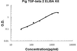 Pig TGF-beta 2 PicoKine ELISA Kit standard curve