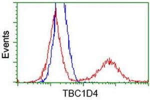 HEK293T cells transfected with either RC212105 overexpress plasmid (Red) or empty vector control plasmid (Blue) were immunostained by anti-TBC1D4 antibody (ABIN2454437), and then analyzed by flow cytometry. (TBC1D4 anticorps)