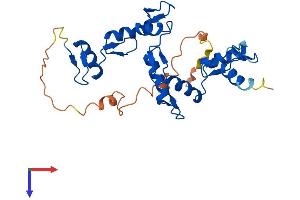 AlphaFold protein structure predicition of Human Recombinant ZNF32 Protein, UniprotID P17041