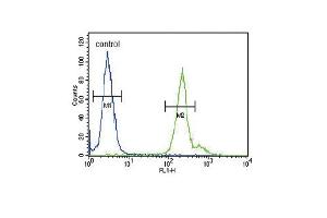GA Antibody (C-term) (ABIN653290 and ABIN2842797) flow cytometric analysis of 293 cells (right histogram) compared to a negative control cell (left histogram).