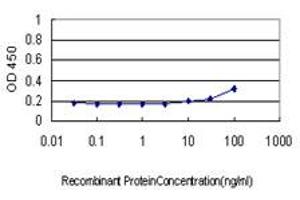 Detection limit for recombinant GST tagged BAD is approximately 30ng/ml as a capture antibody. (BAD anticorps  (AA 69-168))
