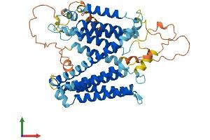 AlphaFold protein structure predicition of Human Recombinant SERINC3 Protein, UniprotID Q13530