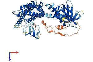 AlphaFold protein structure predicition of Mouse Recombinant Arhgef4 Protein, UniprotID Q7TNR9