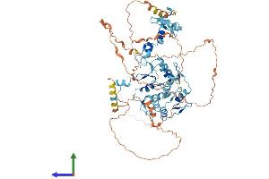 AlphaFold protein structure predicition of Human Recombinant ZNF710 Protein, UniprotID Q8N1W2