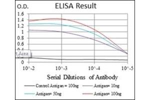 ELISA image for anti-SRY (Sex Determining Region Y)-Box 9 (SOX9) antibody (ABIN1109113)