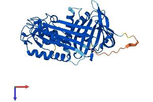 AlphaFold protein structure predicition of Mouse Recombinant Serpinb8 Protein, UniprotID O08800