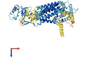 AlphaFold protein structure predicition of Human Recombinant SLC44A3 Protein, UniprotID Q8N4M1