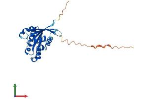 AlphaFold protein structure predicition of Human Recombinant RAB6B Protein, UniprotID Q9NRW1