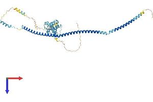 AlphaFold protein structure predicition of Mouse Recombinant Ift57 Protein, UniprotID Q8BXG3