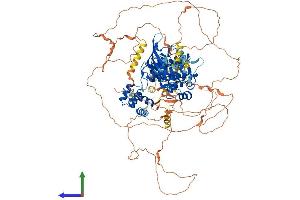 AlphaFold protein structure predicition of Mouse Recombinant Tnk2 Protein, UniprotID O54967