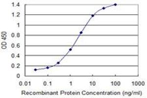 Detection limit for recombinant GST tagged GATA3 is 0. (GATA3 anticorps  (AA 103-200))