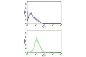 CDK4 antibody flow cytometric analysis of HL-60 cells (bottom histogram) compared to a negative control (top histogram).