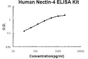 Human Nectin-4 PicoKine ELISA Kit standard curve (PVRL4 Kit ELISA)