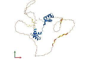 AlphaFold protein structure predicition of Mouse Recombinant Pax9 Protein, UniprotID P47242