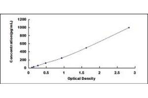 Typical standard curve (MMP7 Kit ELISA)