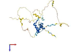AlphaFold protein structure predicition of Mouse Recombinant Pdx1 Protein, UniprotID P52946