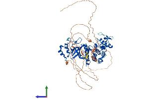 AlphaFold protein structure predicition of Mouse Recombinant Dyrk4 Protein, UniprotID Q8BI55