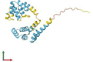 AlphaFold protein structure predicition of Human Recombinant FADD Protein, UniprotID Q13158
