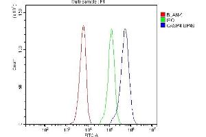 Flow Cytometry analysis of SiHa cells using anti-Caspase 4 antibody (ABIN5693193). (Caspase 4 anticorps  (AA 111-194))