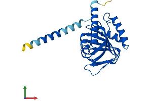 AlphaFold protein structure predicition of Human Recombinant SIGMAR1 Protein, UniprotID Q99720
