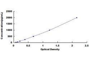 Fatty Acid Desaturase 2 (FADS2) ELISA Kit