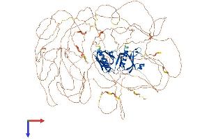 AlphaFold protein structure predicition of Mouse Recombinant Irs1 Protein, UniprotID P35569