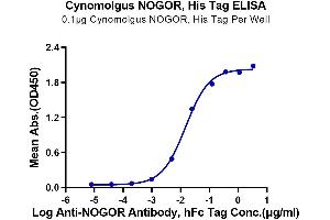 Immobilized Cynomolgus NOGOR, His Tag at 1 μg/mL (100 μL/Well) on the plate.