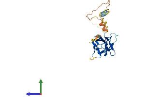 AlphaFold protein structure predicition of Human Recombinant TNFSF9 Protein, UniprotID P41273