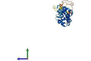 AlphaFold protein structure predicition of Human Recombinant CCDC103 Protein, UniprotID Q8IW40