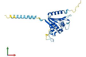 AlphaFold protein structure predicition of Mouse Recombinant Pld6 Protein, UniprotID Q5SWZ9